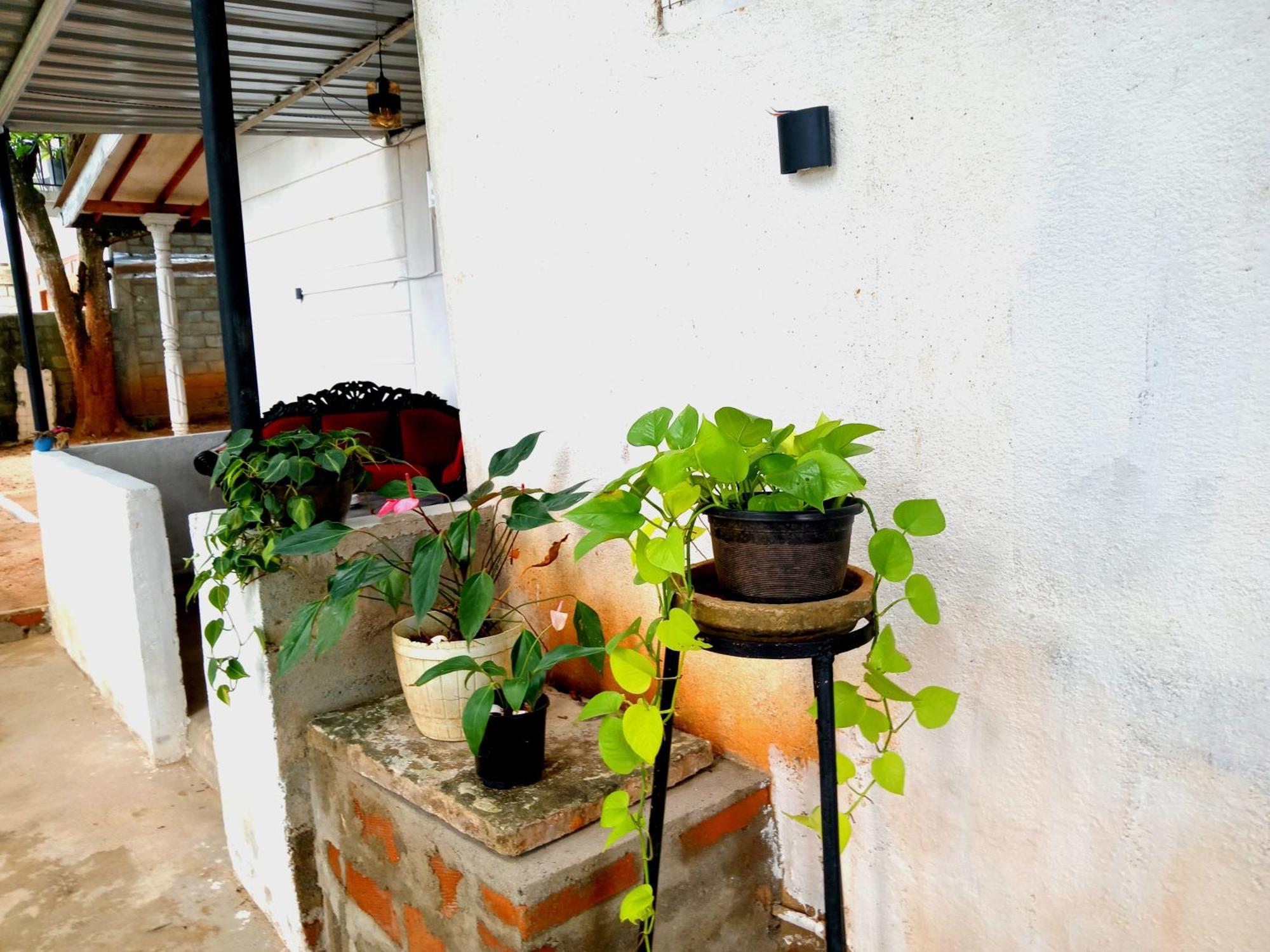 Fly Infinity - Home Stay キャンディー エクステリア 写真